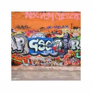 MIPA GRAFFITI - ENTFERNER / GRAFFITI ELTÁVOLÍTÓ